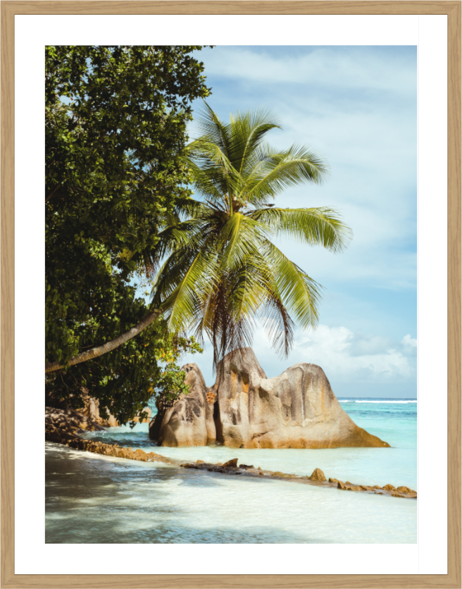 Palm Breeze - Seychelles