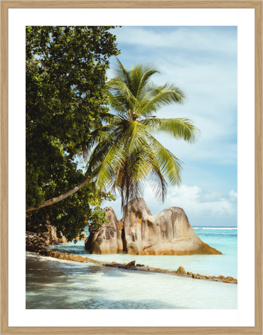 Palm Breeze - Seychelles